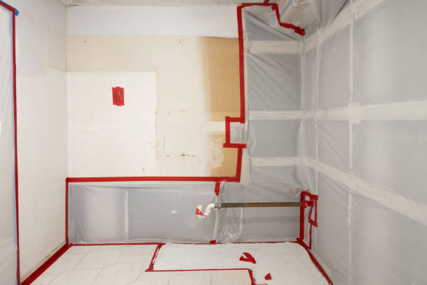 Best Mold-Related Health Consultation  in Barview, OR