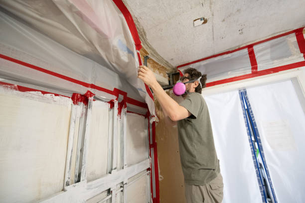 Best Black Mold Removal  in Barview, OR