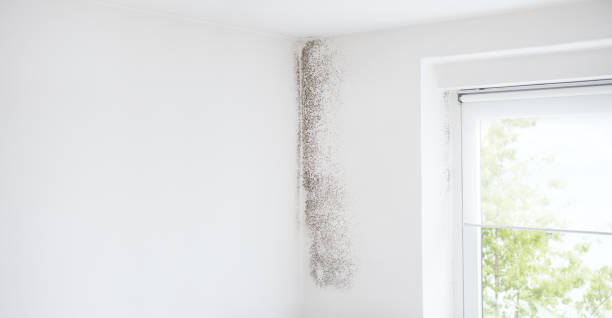 Best Indoor Air Quality Assessment  in Barview, OR