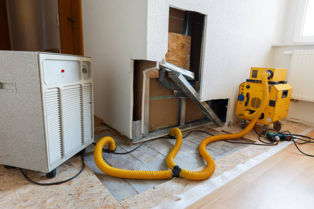 Best Mold Removal for HVAC Installations  in Barview, OR