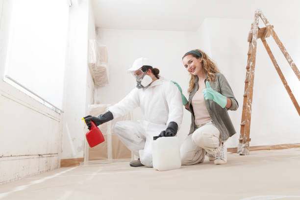 Best Water Damage & Mold Remediation  in Barview, OR