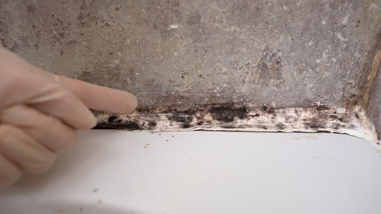 Best Dehumidification Services  in Barview, OR
